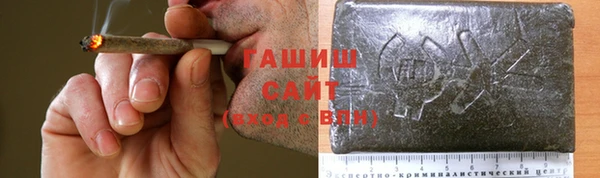 2c-b Горно-Алтайск