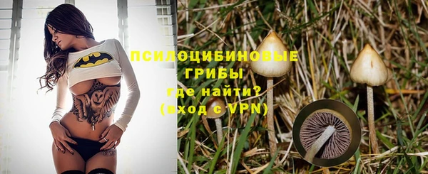 MDMA Premium VHQ Горнозаводск