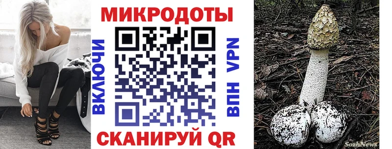 Псилоцибиновые грибы Cubensis  Семёнов 
